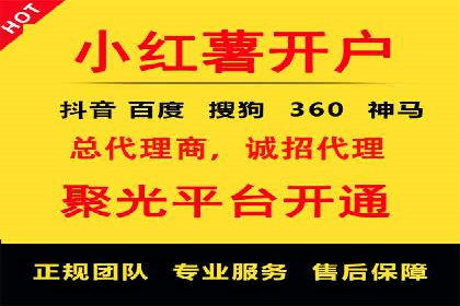 行业领先！专业SEM托管的成功实践案例